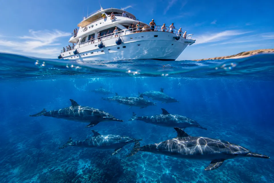Boat over a large spinner dolphin pod in the turquoise Sataya lagoon, Fury Shoals
