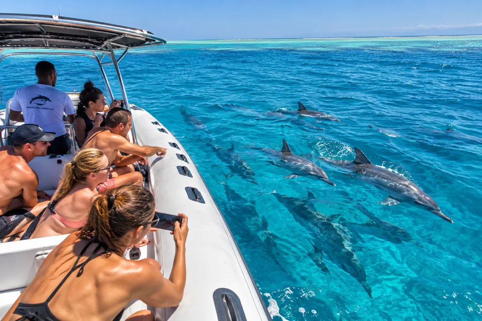 Private speedboat guests photographing spinner dolphins at Samadai, Marsa Alam