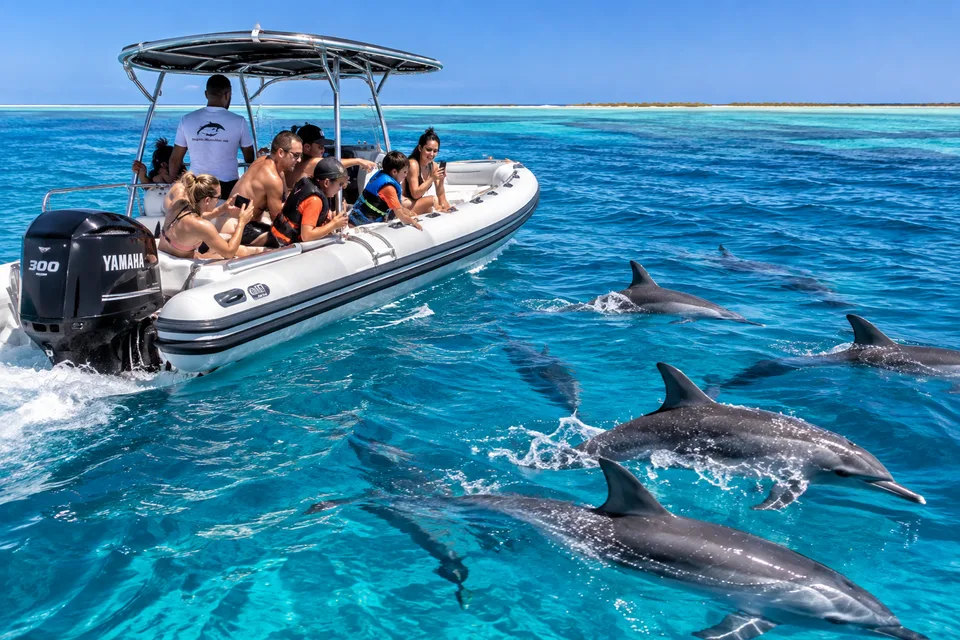 Speedboat with families watching a spinner dolphin pod at Samadai Dolphin House, Marsa Alam