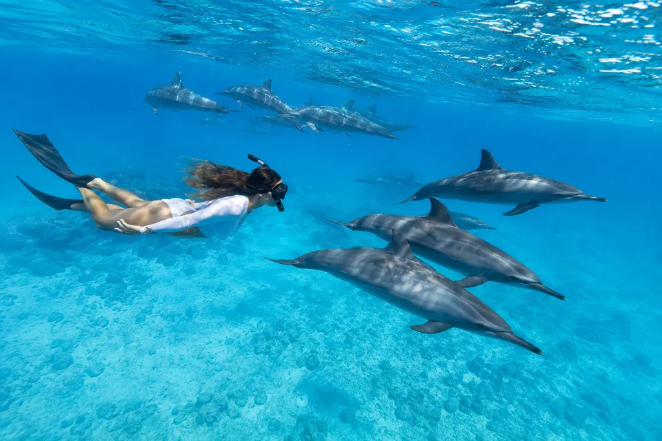 Snorkeler above a large spinner dolphin pod over white sand at Sataya