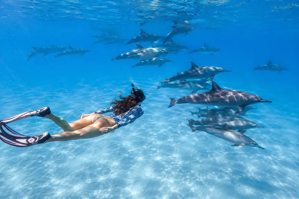 Snorkeler over white sand with a dolphin pod at Sataya